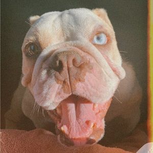 Meet your Posher, Nadia